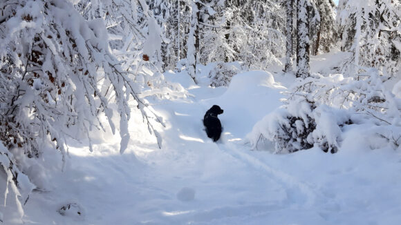 Connys_Lodge_Montafon_09_Spazieren