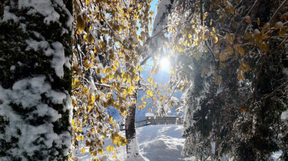 Connys_Lodge_Montafon_10_Spazieren